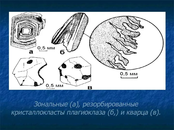 Зональные (а), резорбированные кристаллокласты плагиоклаза (б,) и кварца (в).