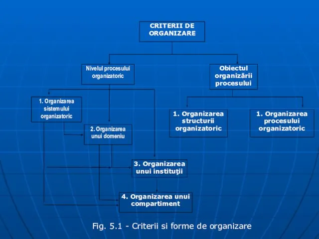 CRITERII DE ORGANIZARE Nivelul procesului organizatoric Obiectul organizării procesului 1. Organizarea sistemului organizatoric