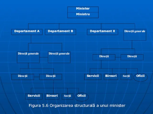Figura 5.6 Organizarea structurală a unui minister
