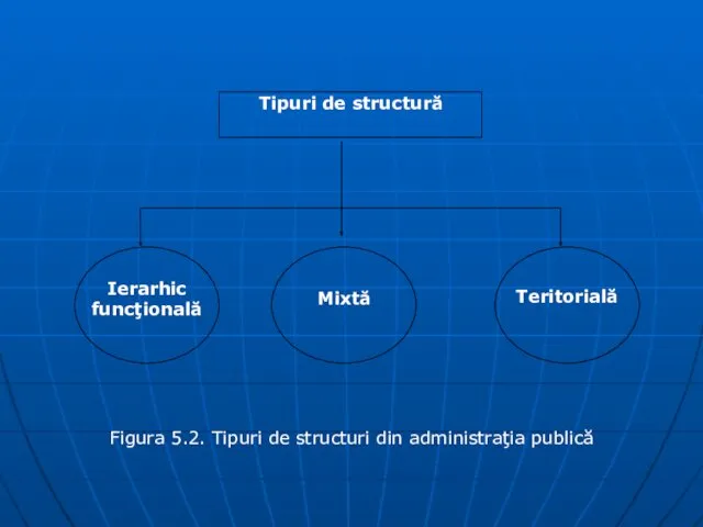 Figura 5.2. Tipuri de structuri din administraţia publică