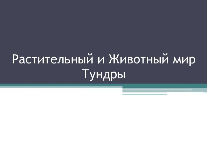 Растительный и Животный мир Тундры