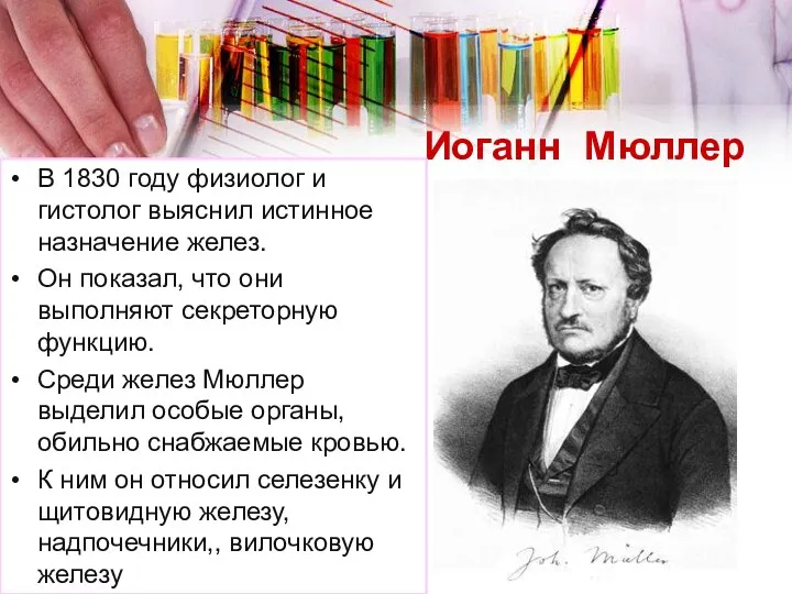 Иоганн Мюллер В 1830 году физиолог и гистолог выяснил истинное