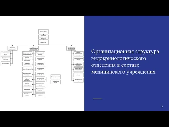 3 Организационная структура эндокринологического отделения в составе медицинского учреждения