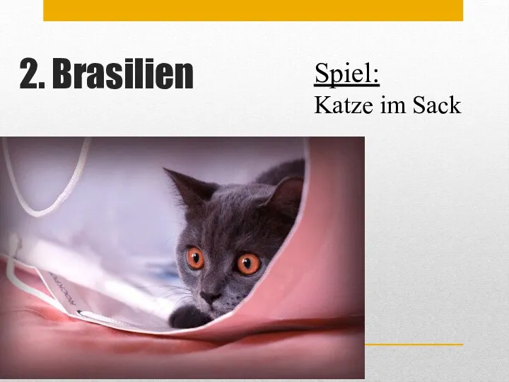 2. Brasilien Spiel: Katze im Sack