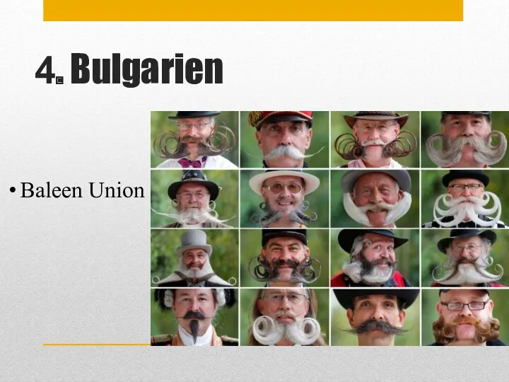 4. Bulgarien Baleen Union