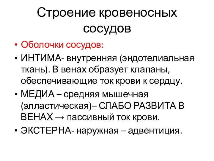 Строение кровеносных сосудов Оболочки сосудов: ИНТИМА- внутренняя (эндотелиальная ткань). В