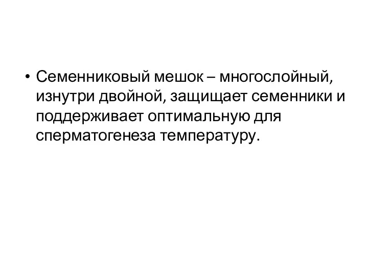 Семенниковый мешок – многослойный, изнутри двойной, защищает семенники и поддерживает оптимальную для сперматогенеза температуру.