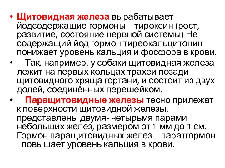 Щитовидная железа вырабатывает йодсодержащие гормоны – тироксин (рост, развитие, состояние