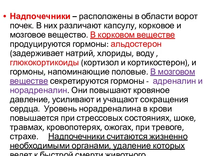 Надпочечники – расположены в области ворот почек. В них различают