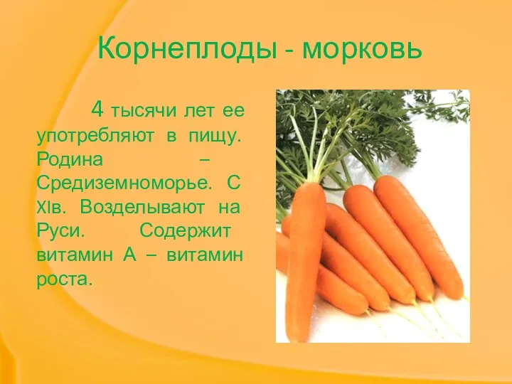 Корнеплоды - морковь 4 тысячи лет ее употребляют в пищу.