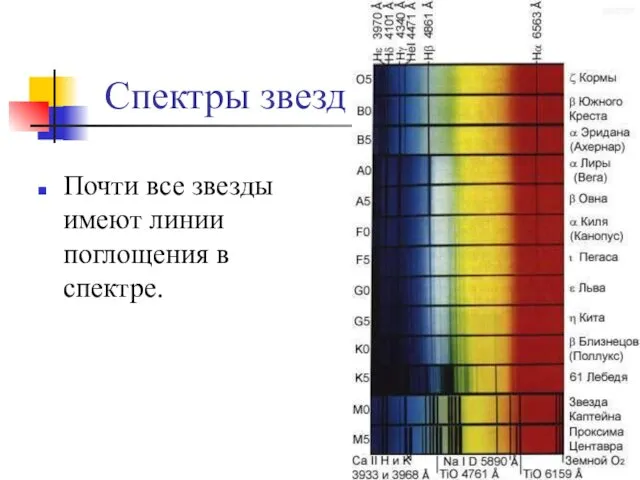Спектры звезд Почти все звезды имеют линии поглощения в спектре.