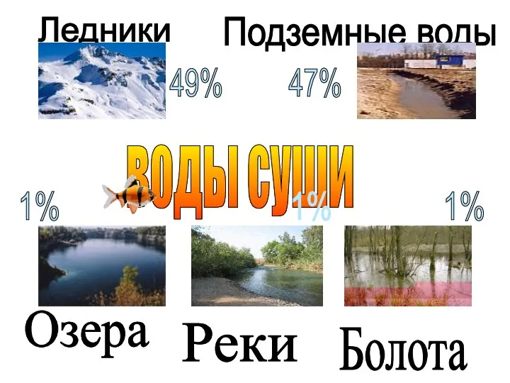 воды суши Ледники Подземные воды Озера Реки Болота 49% 47% 1% 1% 1%