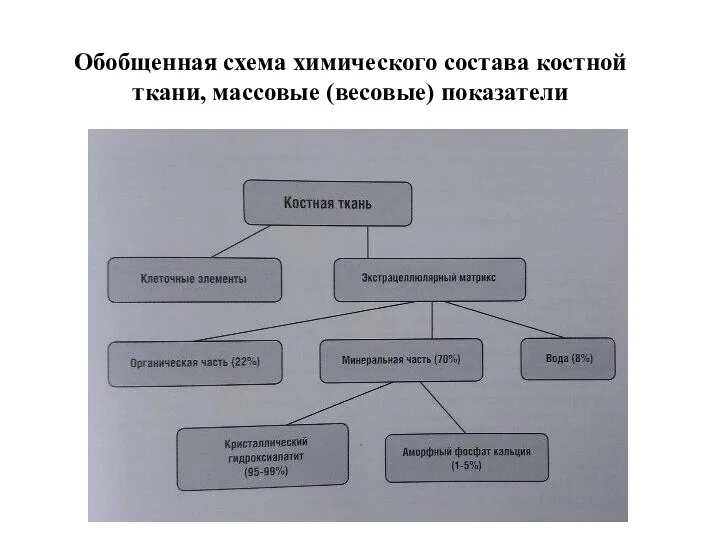 Обобщенная схема химического состава костной ткани, массовые (весовые) показатели