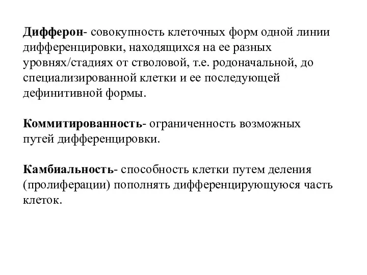 Дифферон- совокупность клеточных форм одной линии дифференцировки, находящихся на ее