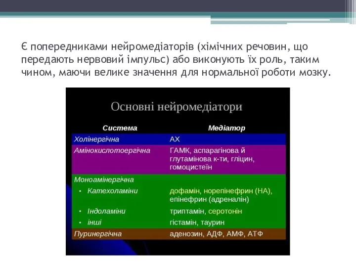 Є попередниками нейромедіаторів (хімічних речовин, що передають нервовий імпульс) або