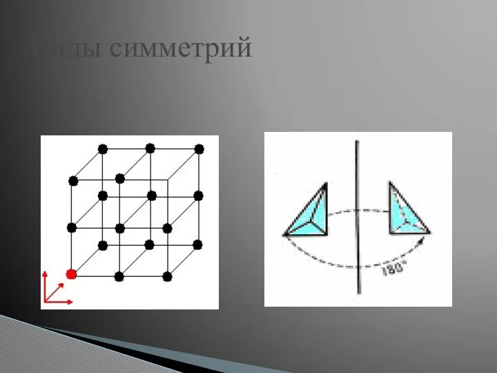 Виды симметрий