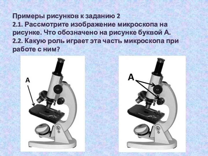 Примеры рисунков к заданию 2 2.1. Рассмотрите изображение микроскопа на