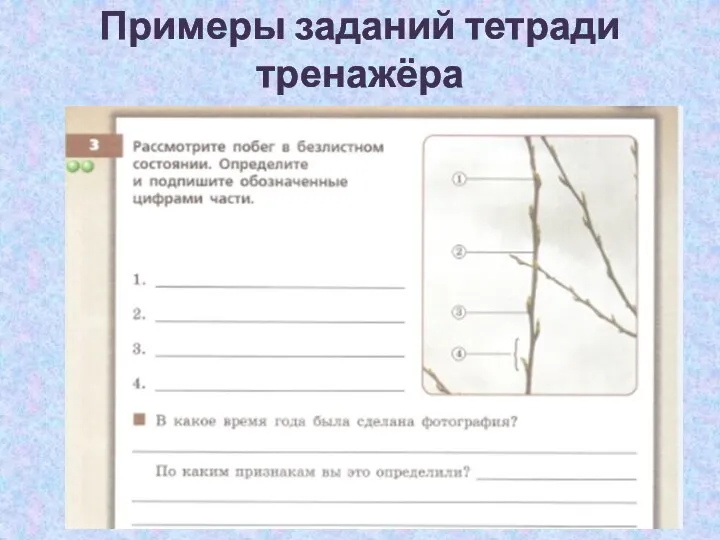 Примеры заданий тетради тренажёра