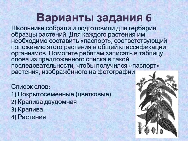 Варианты задания 6 Школьники собрали и подготовили для гербария образцы