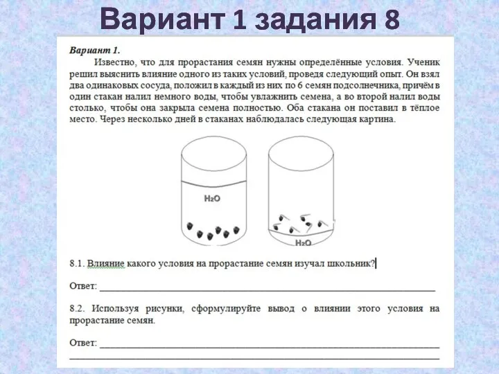 Вариант 1 задания 8