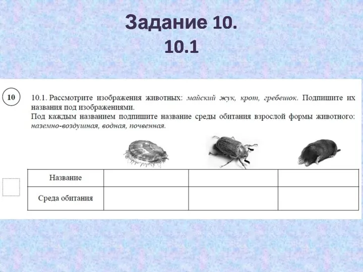 Задание 10. 10.1