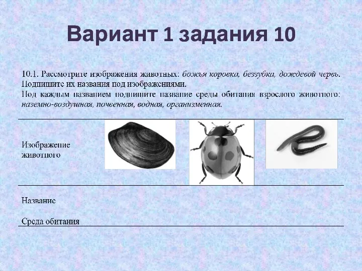 Вариант 1 задания 10