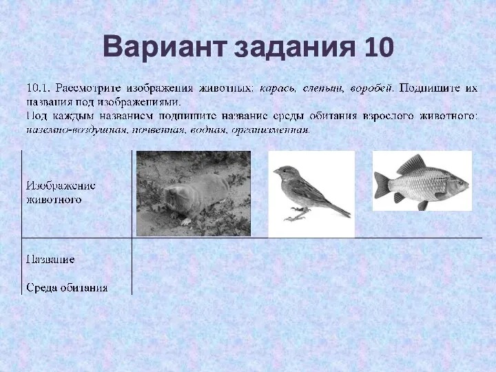 Вариант задания 10