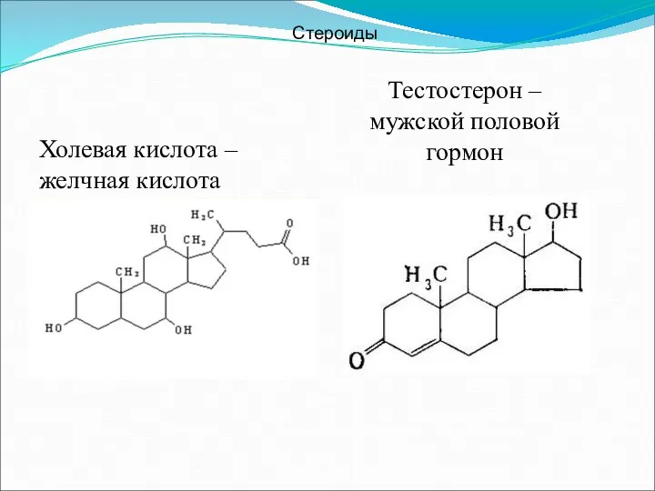 Холевая кислота – желчная кислота Стероиды Тестостерон – мужской половой гормон