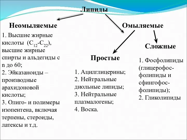 Липиды Неомыляемые Омыляемые 1. Высшие жирные кислоты (С12-С22), высшие жирные