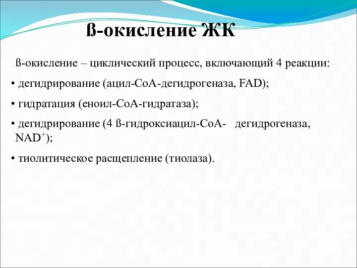 ß-окисление ЖК ß-окисление – циклический процесс, включающий 4 реакции: дегидрирование