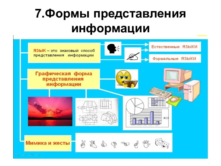 7.Формы представления информации