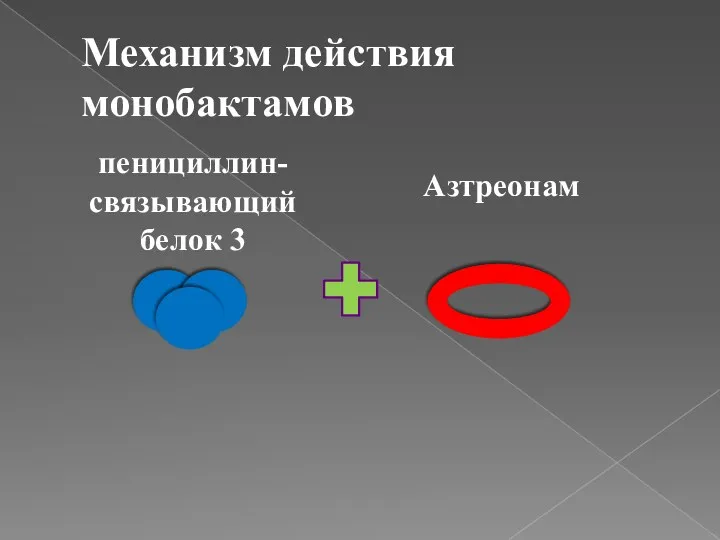 Механизм действия монобактамов пенициллин- связывающий белок 3 Азтреонам