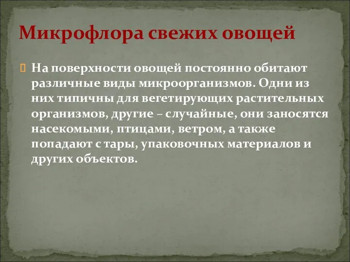 На поверхности овощей постоянно обитают различные виды микроорганизмов. Одни из