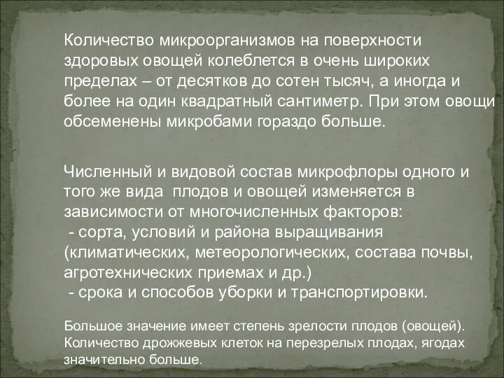 Количество микроорганизмов на поверхности здоровых овощей колеблется в очень широких