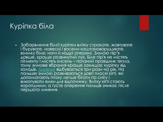 Куріпка біла Забарвлення білої куріпки влітку строкате, жовтувате і бурувате,