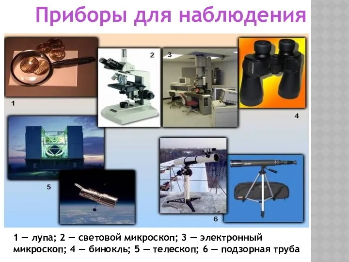 1 — лупа; 2 — световой микроскоп; 3 — электронный