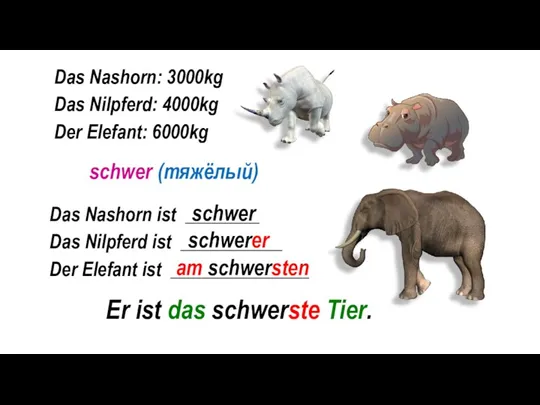 Das Nashorn: 3000kg Das Nilpferd: 4000kg Der Elefant: 6000kg Das