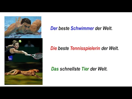 ... Schwimmer der Welt. ... Tennisspielerin der Welt. ... Tier