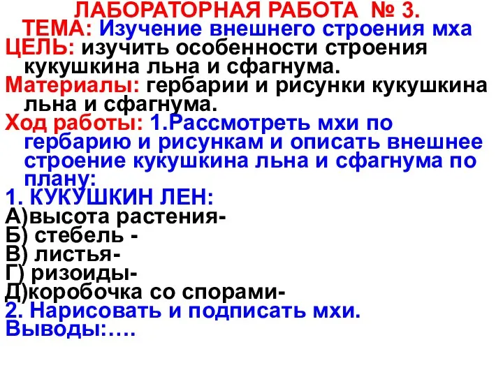 ЛАБОРАТОРНАЯ РАБОТА № 3. ТЕМА: Изучение внешнего строения мха ЦЕЛЬ: