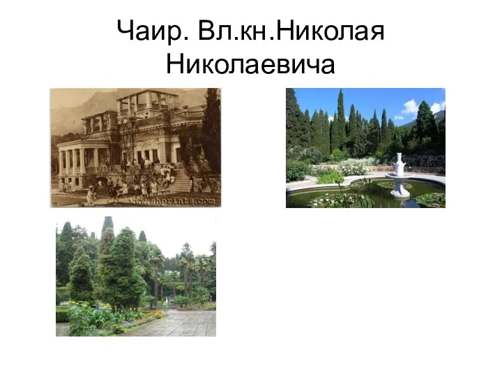 Чаир. Вл.кн.Николая Николаевича