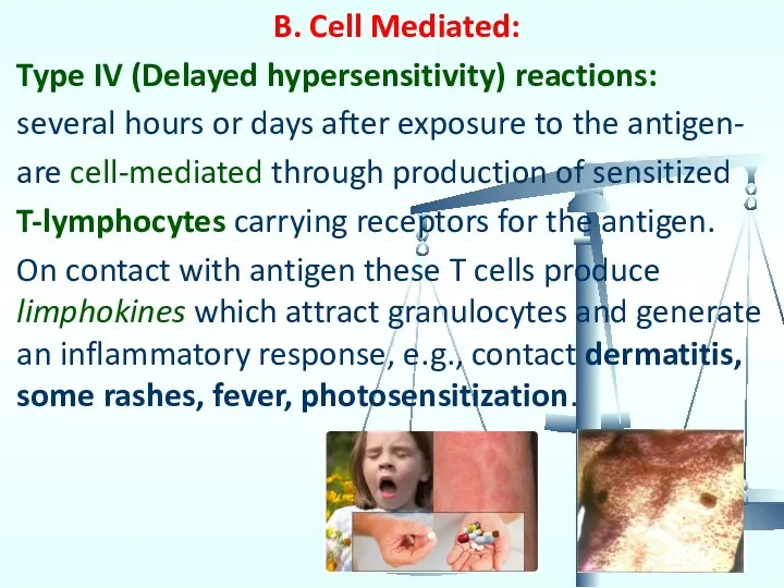 B. Cell Mediated: Type IV (Delayed hypersensitivity) reactions: several hours