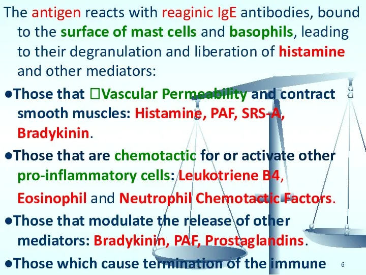The antigen reacts with reaginic IgE antibodies, bound to the surface of mast