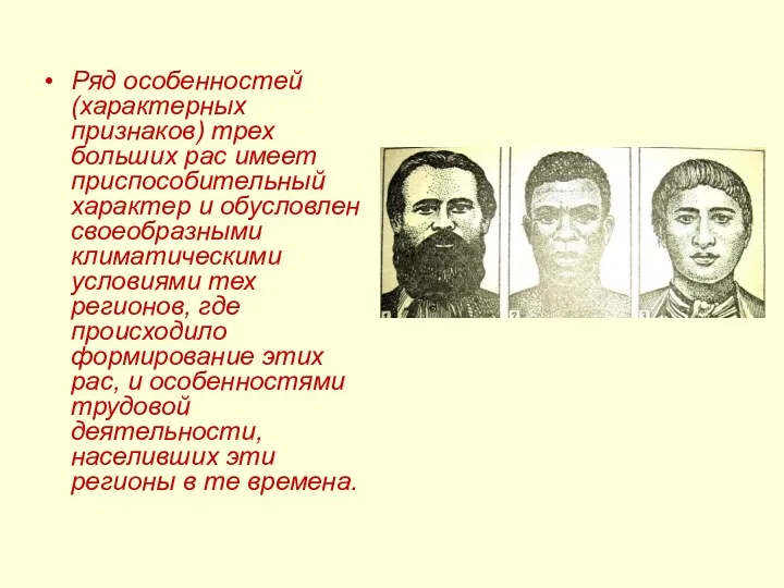 Ряд особенностей (характерных признаков) трех больших рас имеет приспособительный характер и обусловлен своеобразными