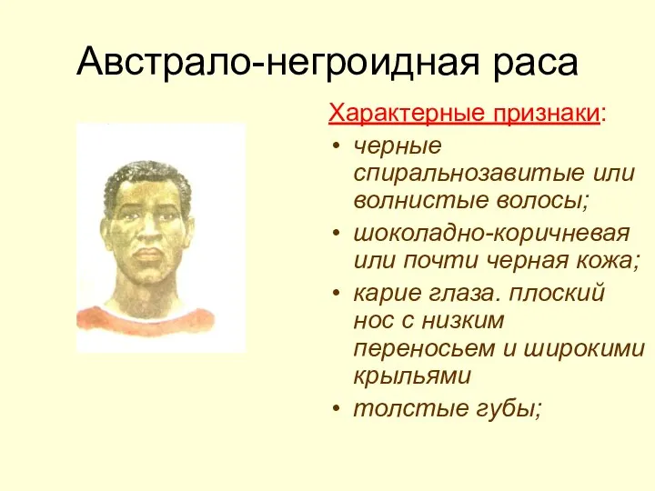 Австрало-негроидная раса Характерные признаки: черные спиральнозавитые или волнистые волосы; шоколадно-коричневая или почти черная