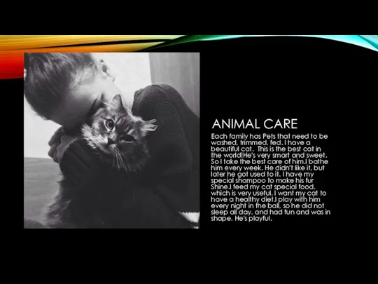 ANIMAL CARE Each family has Pets that need to be