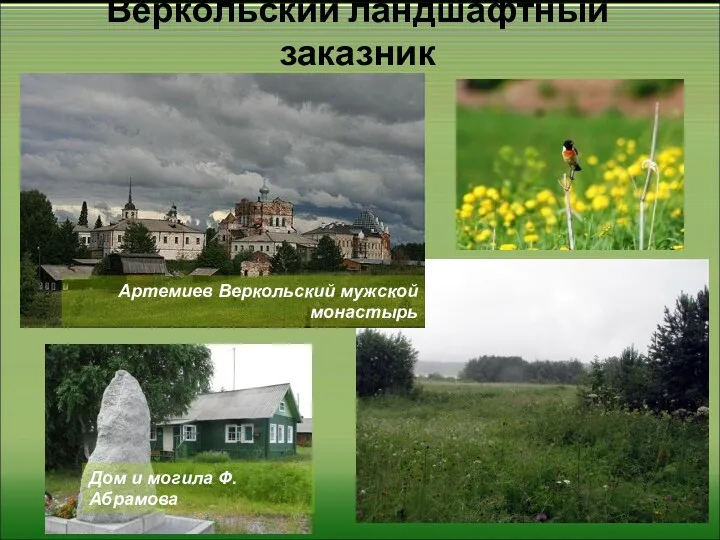 Веркольский ландшафтный заказник Дом и могила Ф. Абрамова Артемиев Веркольский мужской монастырь