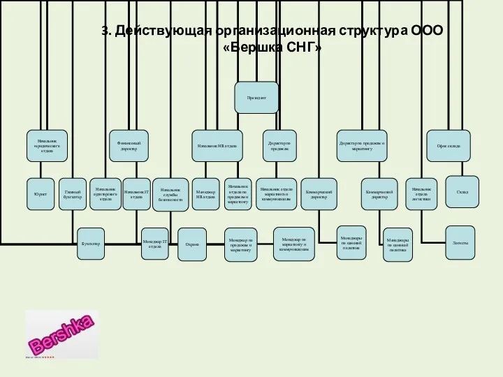 3. Действующая организационная структура ООО «Бершка СНГ»