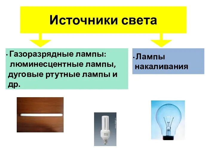 Источники света Газоразрядные лампы: люминесцентные лампы, дуговые ртутные лампы и др. Лампы накаливания