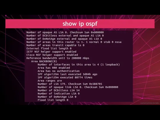 created by Dimon Domofon show ip ospf