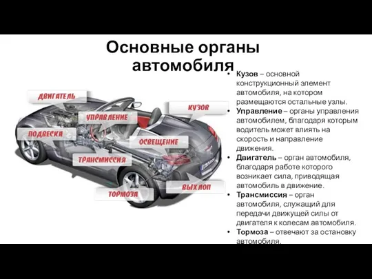 Основные органы автомобиля Кузов – основной конструкционный элемент автомобиля, на котором размещаются остальные